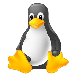 wireshark